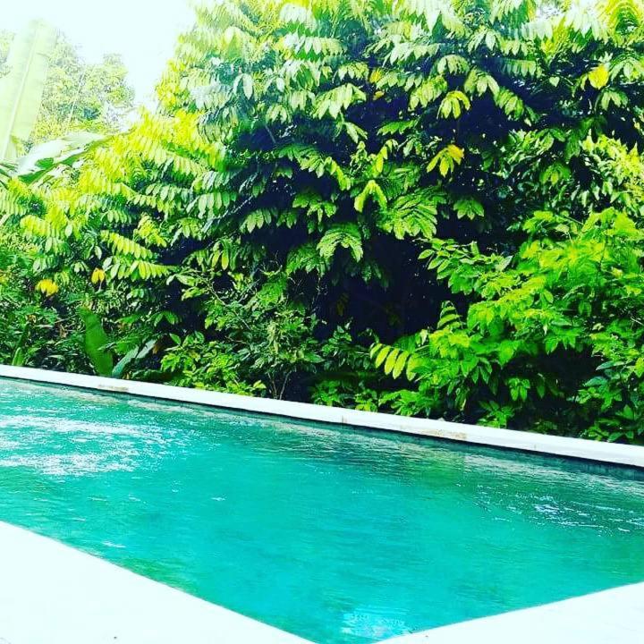 Bismajaya Bungalow Ubud Eksteriør bilde