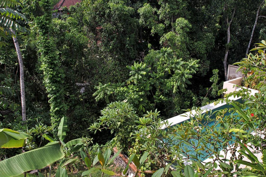 Bismajaya Bungalow Ubud Eksteriør bilde
