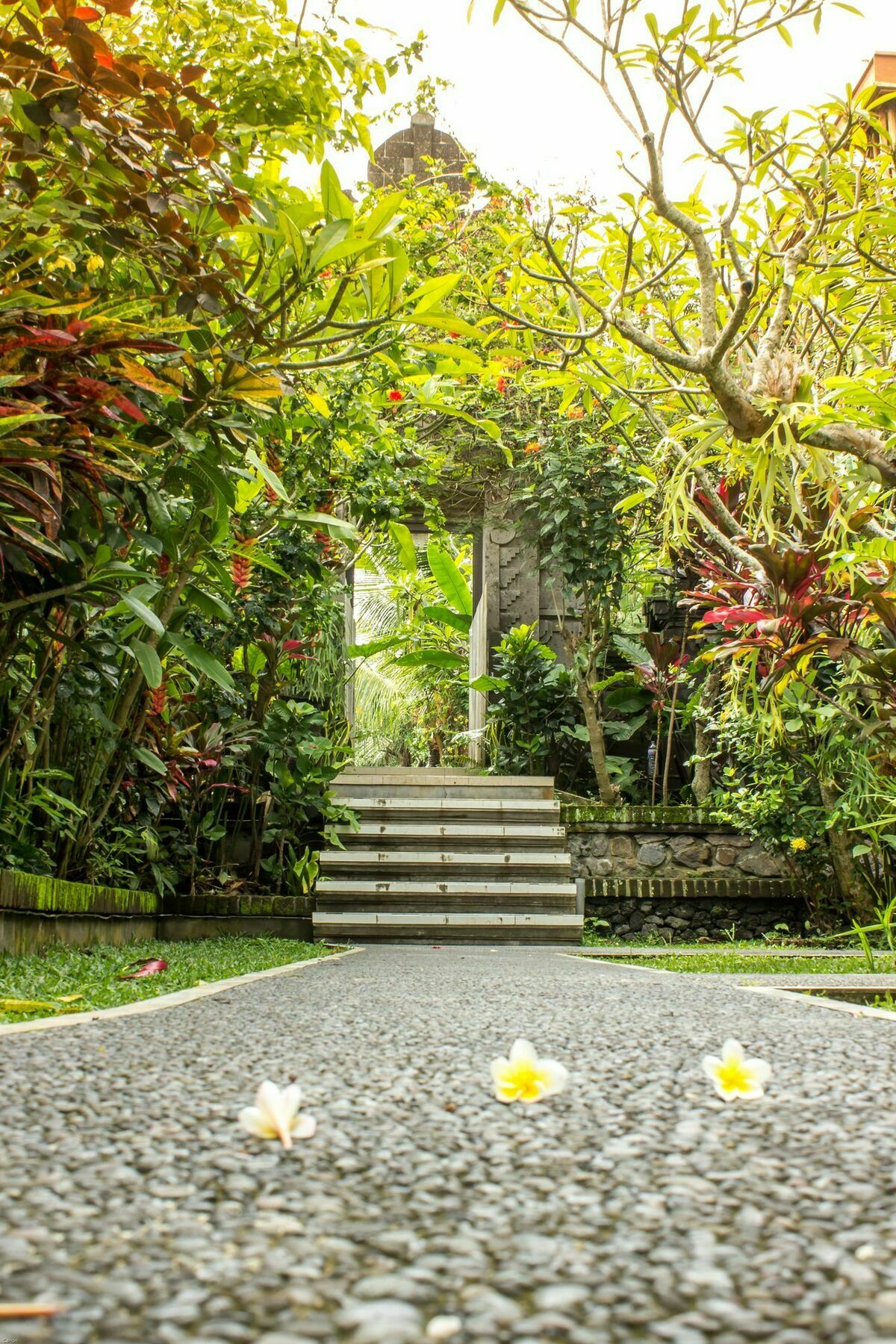 Bismajaya Bungalow Ubud Eksteriør bilde