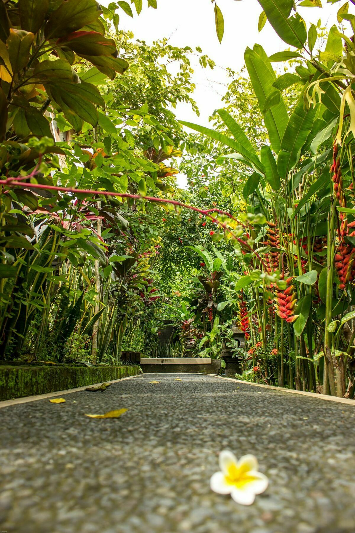 Bismajaya Bungalow Ubud Eksteriør bilde