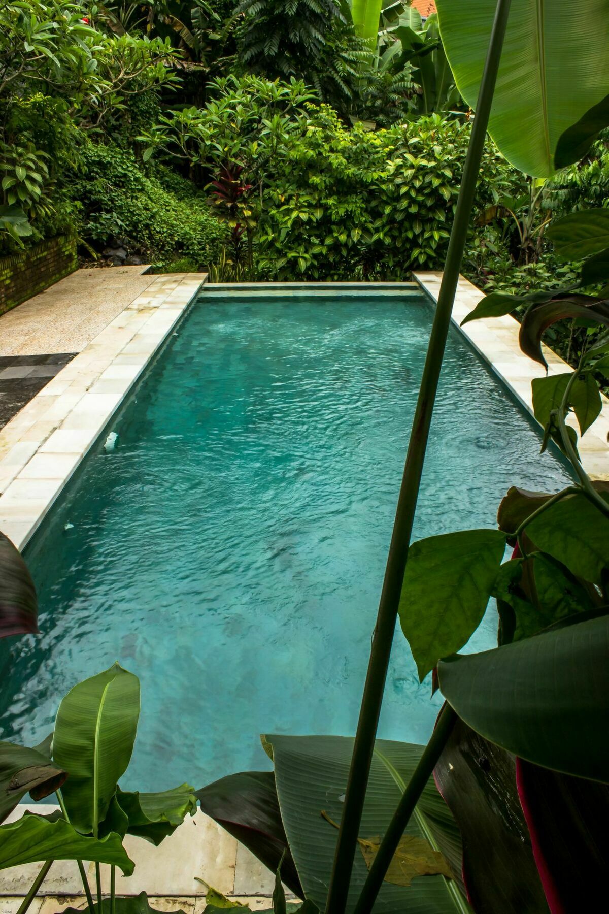 Bismajaya Bungalow Ubud Eksteriør bilde